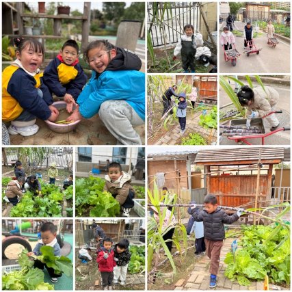 52ED07561996CDC2B2DF99412ED4300C